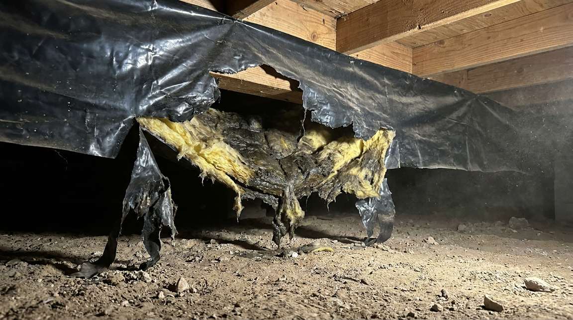 Torn belly wrap under a manufactured home: the black vapor barrier has ripped open and hangs in tatters with wet, clumped fiberglass insulation sagging out of the cavity.